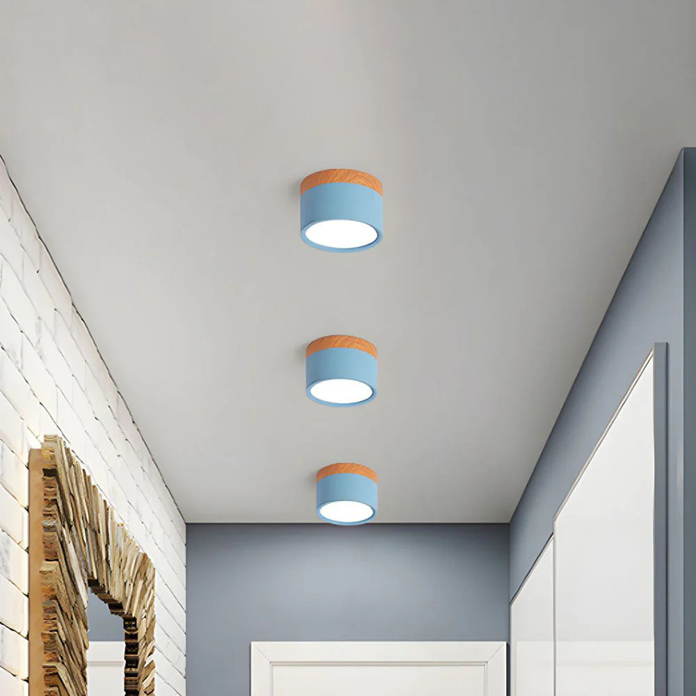 Compact Cylindrical Flush Mount LED Fixture for Residential Spaces – Aluminum Housing, Warm & Cool Temperatures, Multiple Finishes
