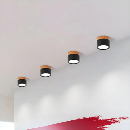 Compact Cylindrical Flush Mount LED Fixture for Residential Spaces – Aluminum Housing, Warm & Cool Temperatures, Multiple Finishes