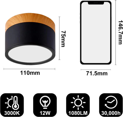 Compact Cylindrical Flush Mount LED Fixture for Residential Spaces – Aluminum Housing, Warm & Cool Temperatures, Multiple Finishes