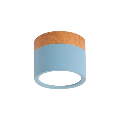 Compact Cylindrical Flush Mount LED Fixture for Residential Spaces – Aluminum Housing, Warm & Cool Temperatures, Multiple Finishes
