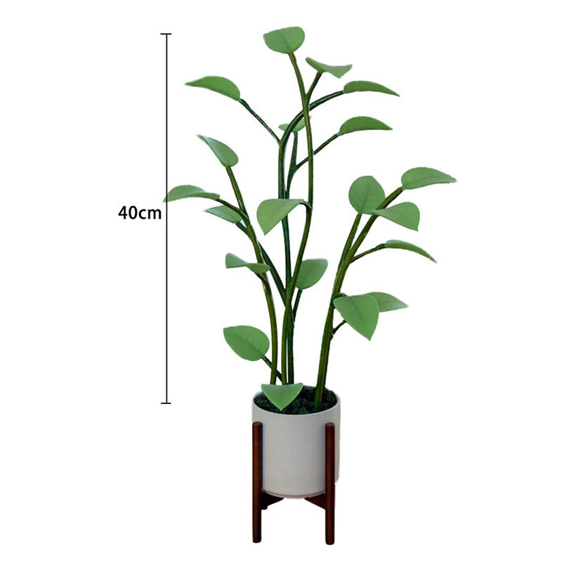 Color-Changing LED Plant Night Light for Bedroom, Living Room & Office – USB Powered Decorative Botanical Lamp with Auto Cycle Lighting