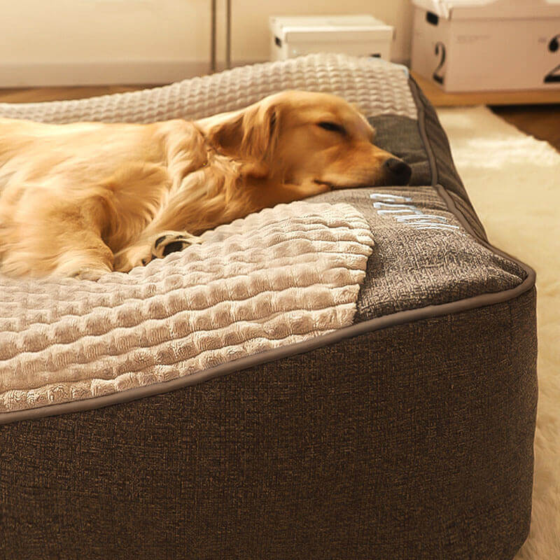 Orthopedic Dog Bed with Spine Support & Non-Slip Base for Large Breeds, Senior Dogs, Joint Relief