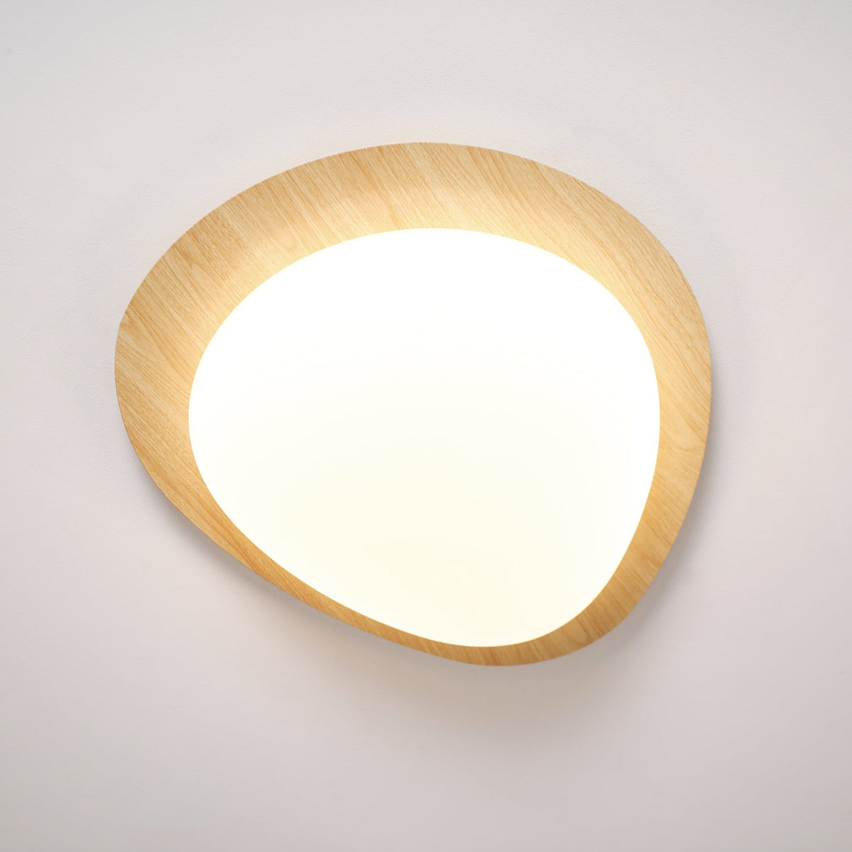 Flush Mount LED Ceiling Light Round 12 in Walnut Finish 12W Indoor for Bedroom Living Room Dining Room Kitchen Hallway Foyer Dimmable Low Pr