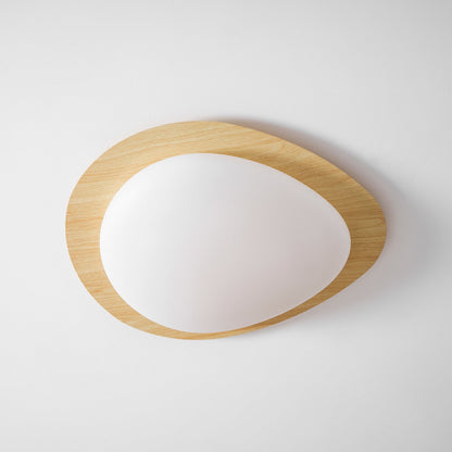 Flush Mount LED Ceiling Light Round 12 in Walnut Finish 12W Indoor for Bedroom Living Room Dining Room Kitchen Hallway Foyer Dimmable Low Pr