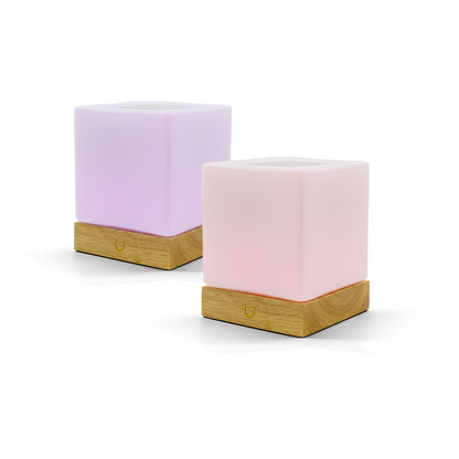 LuvLink | Friendship Lamp with Stylish Design & Instant Connection | Perfect Long Distance Gift