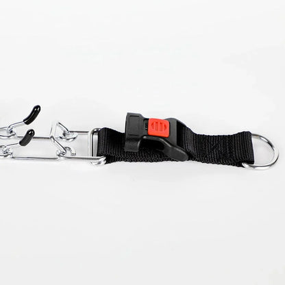 Dog Training Collar Nylon Quick-Release & Rust-Resistant D-Ring
