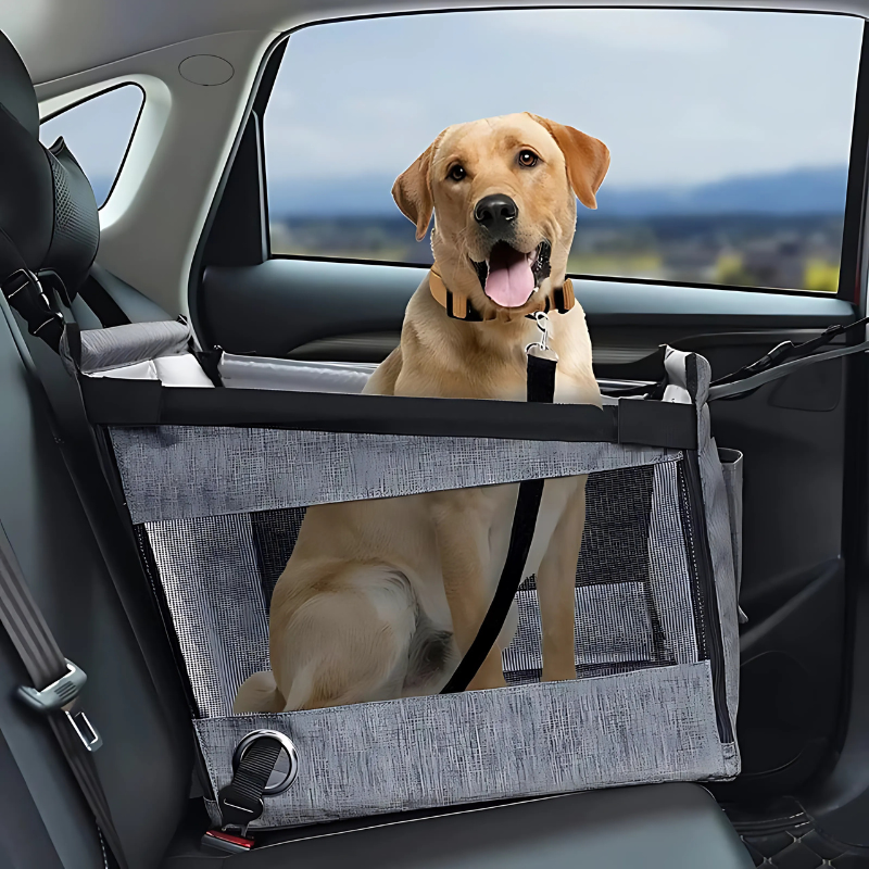 Siège auto pour petits chiens et chats, siège auto imperméable pour animaux avec armature en maille, transporteur portable pour le voyage