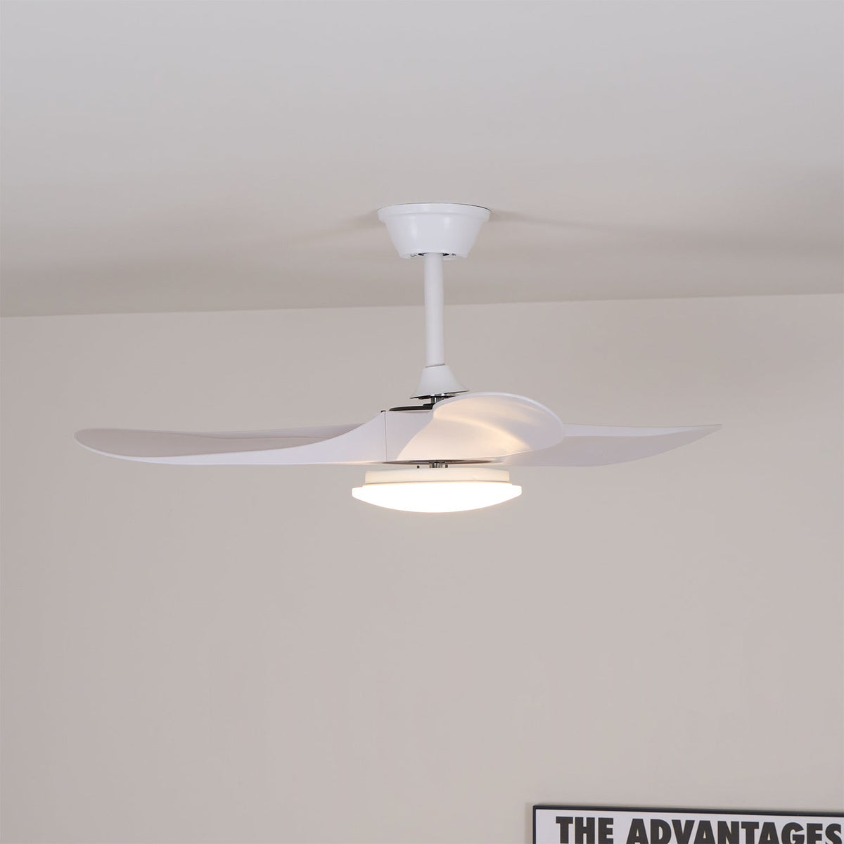 Ceiling Fan with Light 42in 52in Real Wood Blades 6 Speed LED Indoor Modern for Living Room Bedroom Dining Room Office Adjustable Temperatur