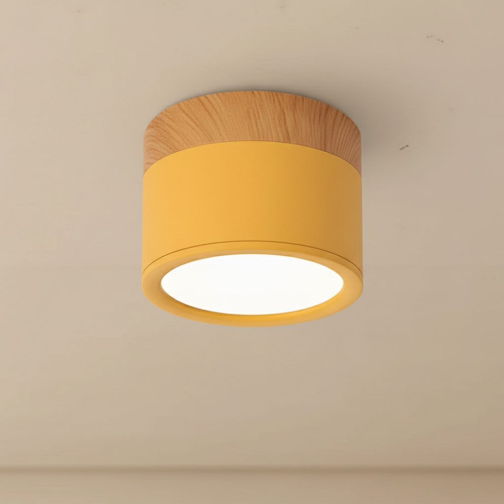 Modern Flush Mount Ceiling Light | Energy-Efficient LED Fixture with Sleek Design | Ideal for Contemporary Spaces