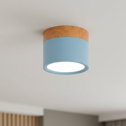 Modern Flush Mount Ceiling Light | Energy-Efficient LED Fixture with Sleek Design | Ideal for Contemporary Spaces