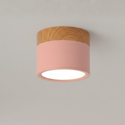 Modern Flush Mount Ceiling Light | Energy-Efficient LED Fixture with Sleek Design | Ideal for Contemporary Spaces