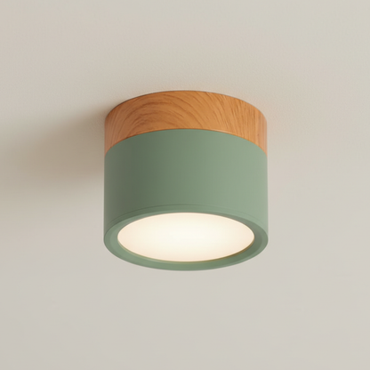Modern Flush Mount Ceiling Light | Energy-Efficient LED Fixture with Sleek Design | Ideal for Contemporary Spaces