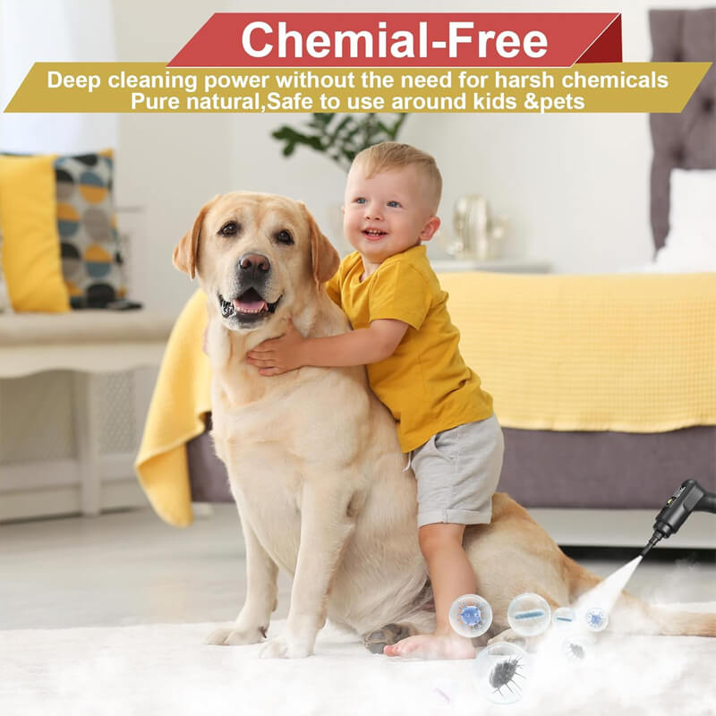 Multi-Surface Cleaning System | High Pressure Steam Cleaner with Fast Heat-Up | Versatile Tool for Efficient Home and Vehicle Cleaning