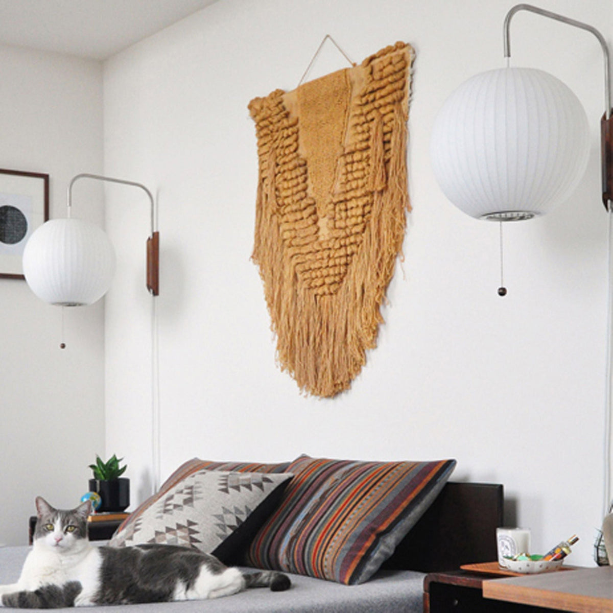 Modern Sconce Light Fixture with Walnut Accent for Bedroom Reading Nook Hallway 11x16 inch Wall Mount LED Compatible