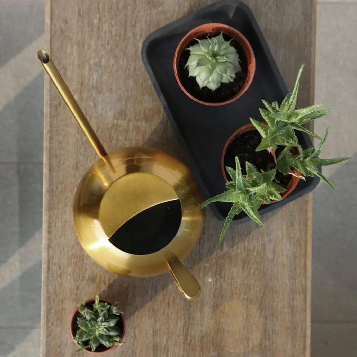 Metal Indoor Plant Watering Pitcher 11 in Diameter Long Spout Rust-Resistant Houseplant Tool Home Garden Container for Succulents Flowers