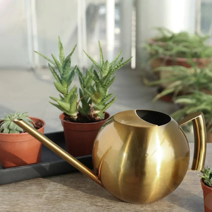 Stainless Steel Indoor Watering Pitcher for Houseplants – Modern Metal Long Spout Garden Can for Potted Plants, Succulents, Orchids – 50 oz
