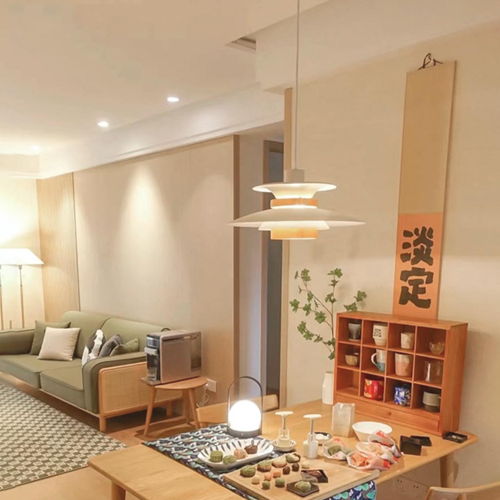 Overhead Hanging Ceiling Light Metal Dome Shade Adjustable Height for Dining Table Kitchen Island Bedroom Study