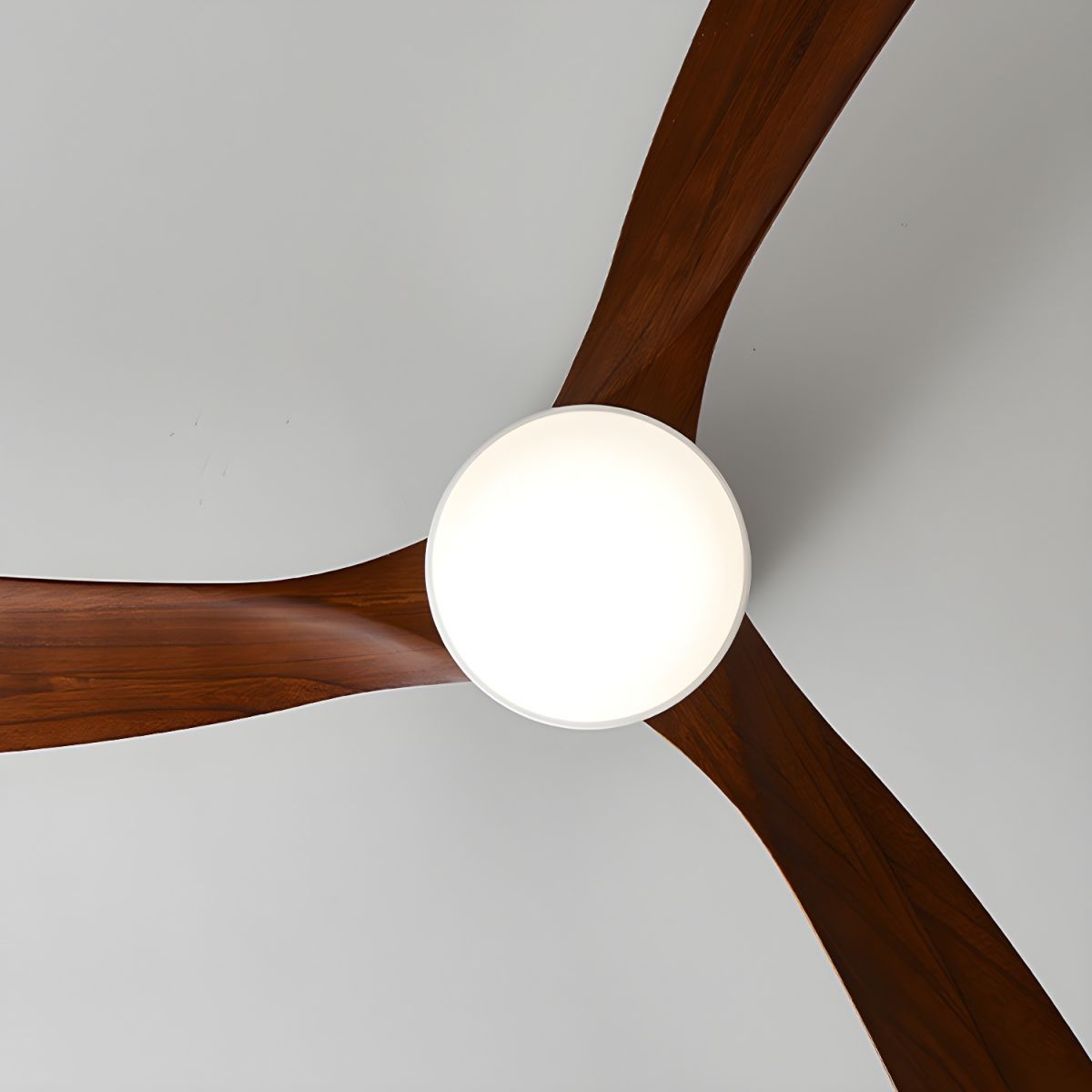 Sycamore Wood Ceiling Fan with LED Light – Whisper-Quiet 6-Speed DC Motor, Reversible Airflow, Remote Control, 42/48/52 Inch