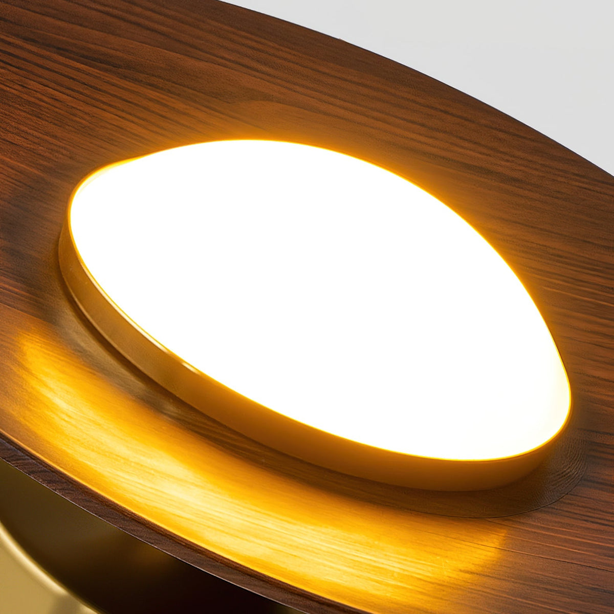 Flush Mount Light Fixture with Wood Accent 9 in Diameter LED for Kitchen Dining Room Entryway Hallway Low Profile Gold Metal Frame Walnut Fi