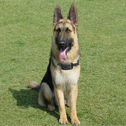 Wireless Dog Fence System with Adjustable Collar & Waterproof Design | Customizable Training Modes for Safe Pet Containment