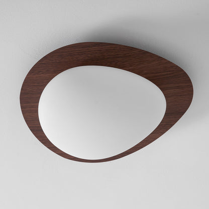 Flush Mount LED Ceiling Light Round 12 in Walnut Finish 12W Indoor for Bedroom Living Room Dining Room Kitchen Hallway Foyer Dimmable Low Pr