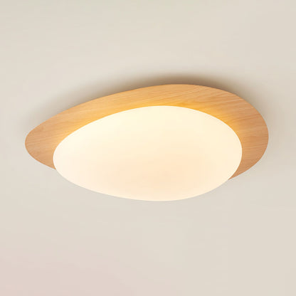 Flush Mount LED Ceiling Light Round 12 in Walnut Finish 12W Indoor for Bedroom Living Room Dining Room Kitchen Hallway Foyer Dimmable Low Pr