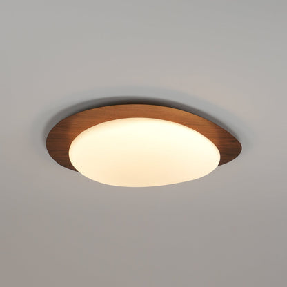 Flush Mount LED Ceiling Light Round 12 in Walnut Finish 12W Indoor for Bedroom Living Room Dining Room Kitchen Hallway Foyer Dimmable Low Pr