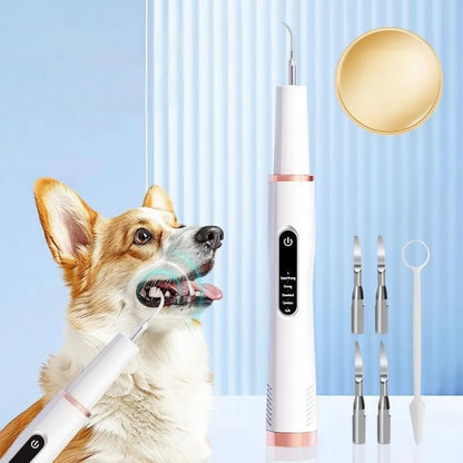 Ortekor PetCare | Appareil de nettoyage dentaire pour chien avec 5 niveaux réglables | Soins dentaires efficaces pour animaux pour des sourires plus sains