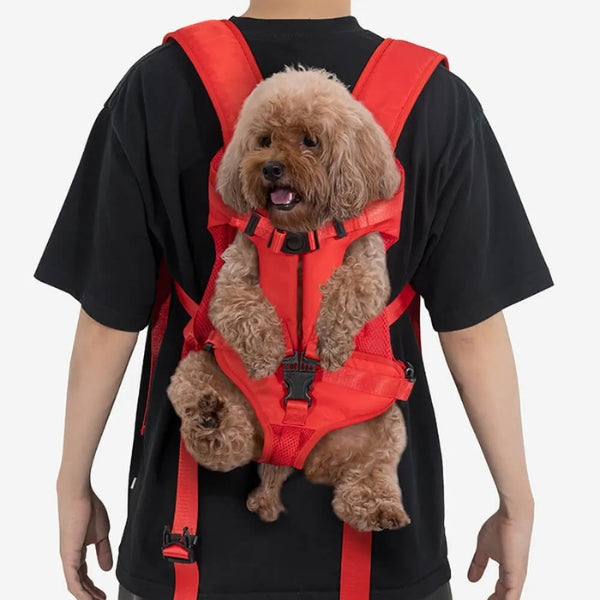Sac à dos de transport pour petits chats, sac à dos pour chien en tissu Oxford imperméable, sac de transport ajustable pour animaux de compagnie pour les voyages