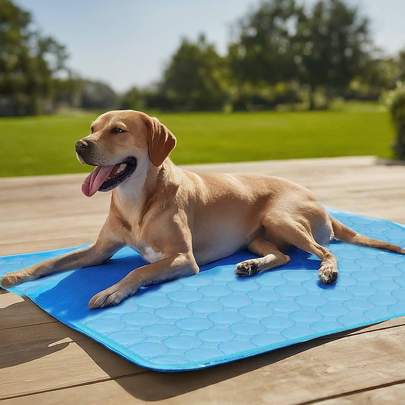 Confort pour animaux | Tapis rafraîchissant pour chien avec technologie auto-refroidissante | Idéal pour soulager la chaleur