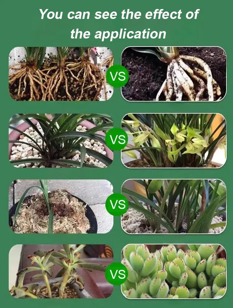Liquid Plant Growth Booster for Stronger Roots & More Blooms – Indoor Outdoor Fertilizer for Houseplants Vegetables Herbs Succulents Fruit T