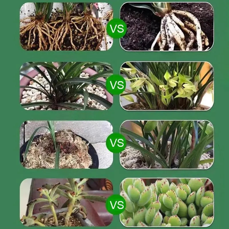 Liquid Plant Growth Booster for Stronger Roots & More Blooms – Indoor Outdoor Fertilizer for Houseplants Vegetables Herbs Succulents Fruit T