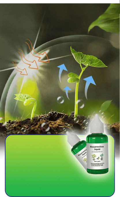 Liquid Plant Growth Booster for Stronger Roots & More Blooms – Indoor Outdoor Fertilizer for Houseplants Vegetables Herbs Succulents Fruit T