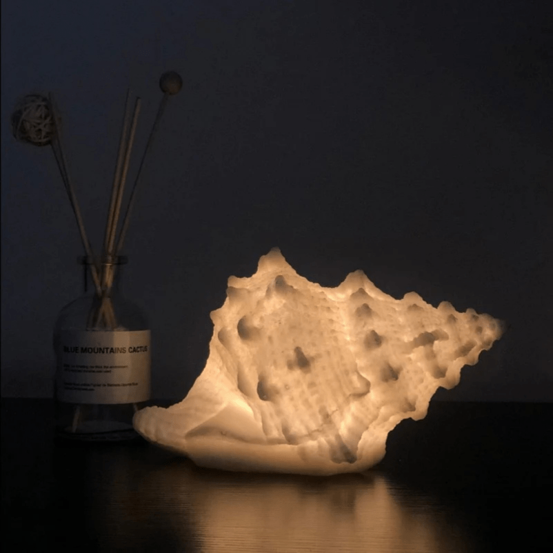 Portable Coastal Seashell Night Light – Soft Warm White Glow for Relaxing Ambiance