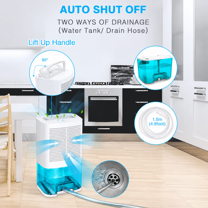 Portable Dehumidifier | Efficient Moisture Remover with Quiet Operation | Ideal for Home, RV, and Bathrooms