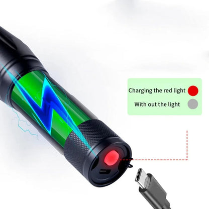 Portable UV Blacklight Flashlight with 395nm Wavelength for Pet Stain Detection