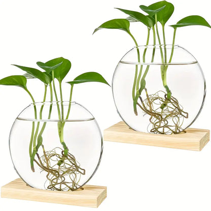 EdenOrb™ – Propagation Vase with Wooden Stand (Buy 1 Get 1 Free)