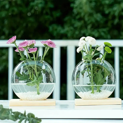 EdenOrb™ – Propagation Vase with Wooden Stand (Buy 1 Get 1 Free)