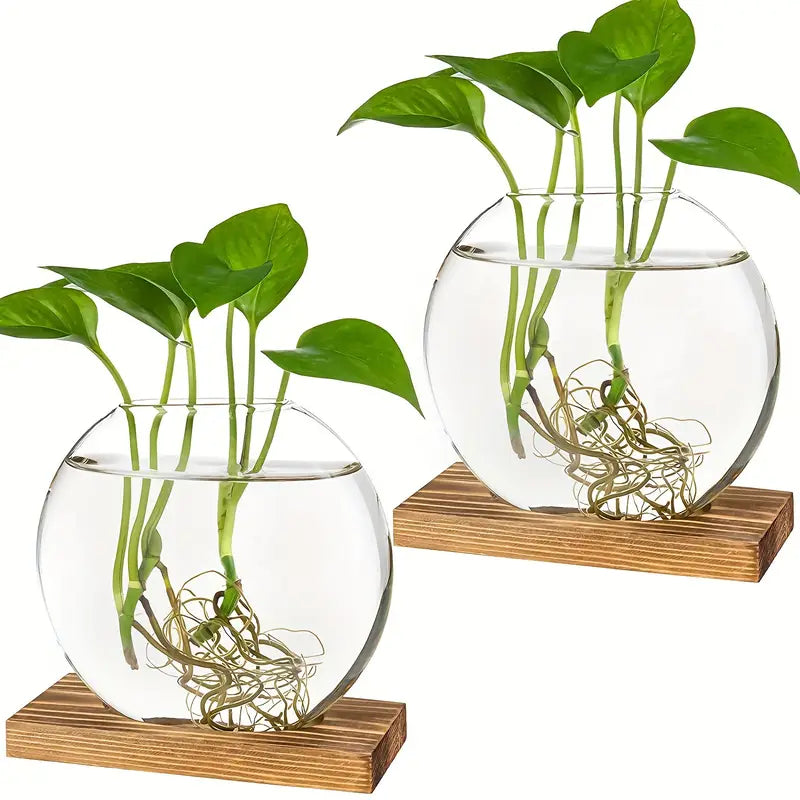 EdenOrb™ – Propagation Vase with Wooden Stand (Buy 1 Get 1 Free)