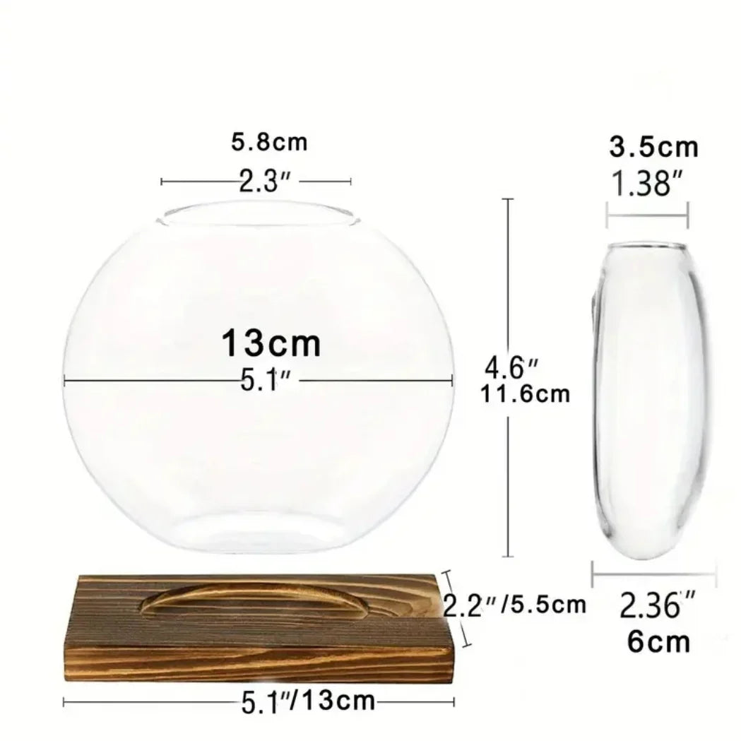 EdenOrb™ – Propagation Vase with Wooden Stand (Buy 1 Get 1 Free)