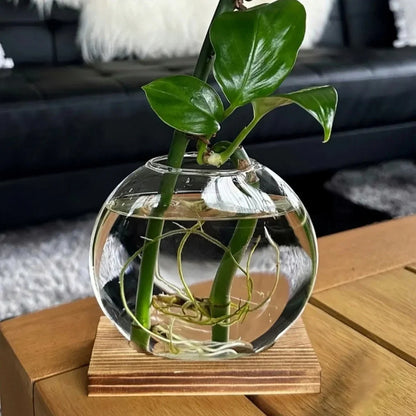EdenOrb™ – Propagation Vase with Wooden Stand (Buy 1 Get 1 Free)