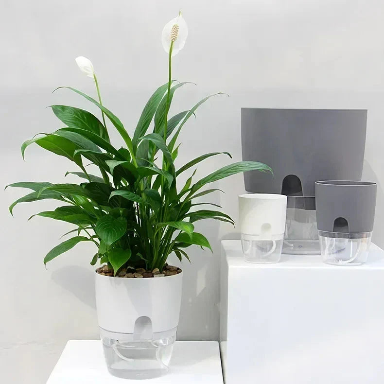 Indoor Plant Pot with Built-In Water Reservoir 9.3 Inch Tall for Succulents Herbs Houseplants Home Office Desktop Automatic Moisture Control