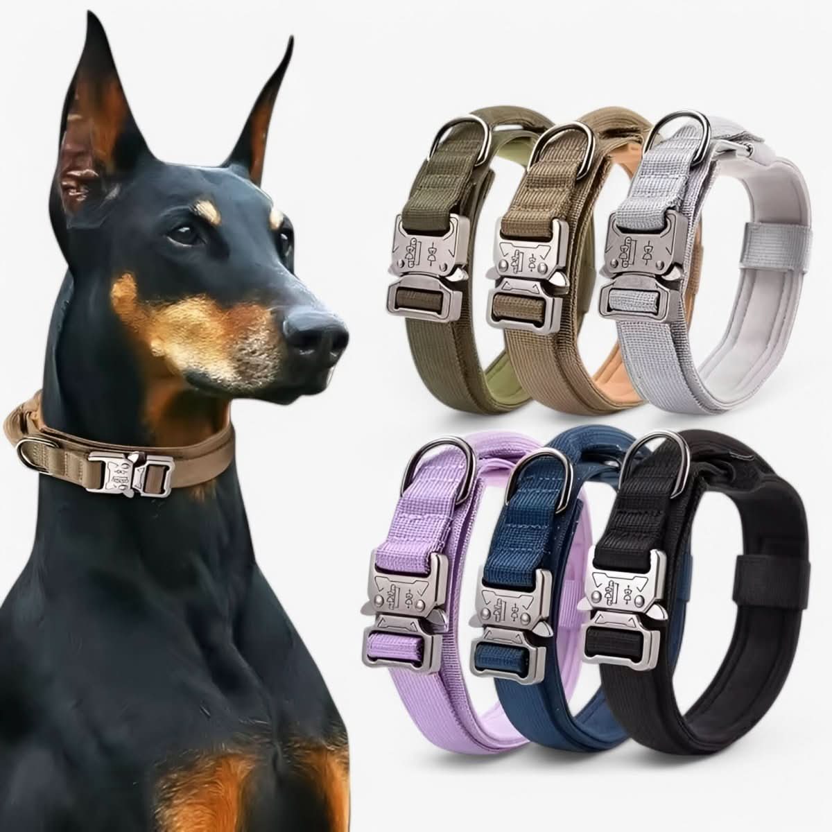 Padded Tactical Dog Collar with Handle – Adjustable Heavy-Duty Nylon for Training, Walks & Active Dogs