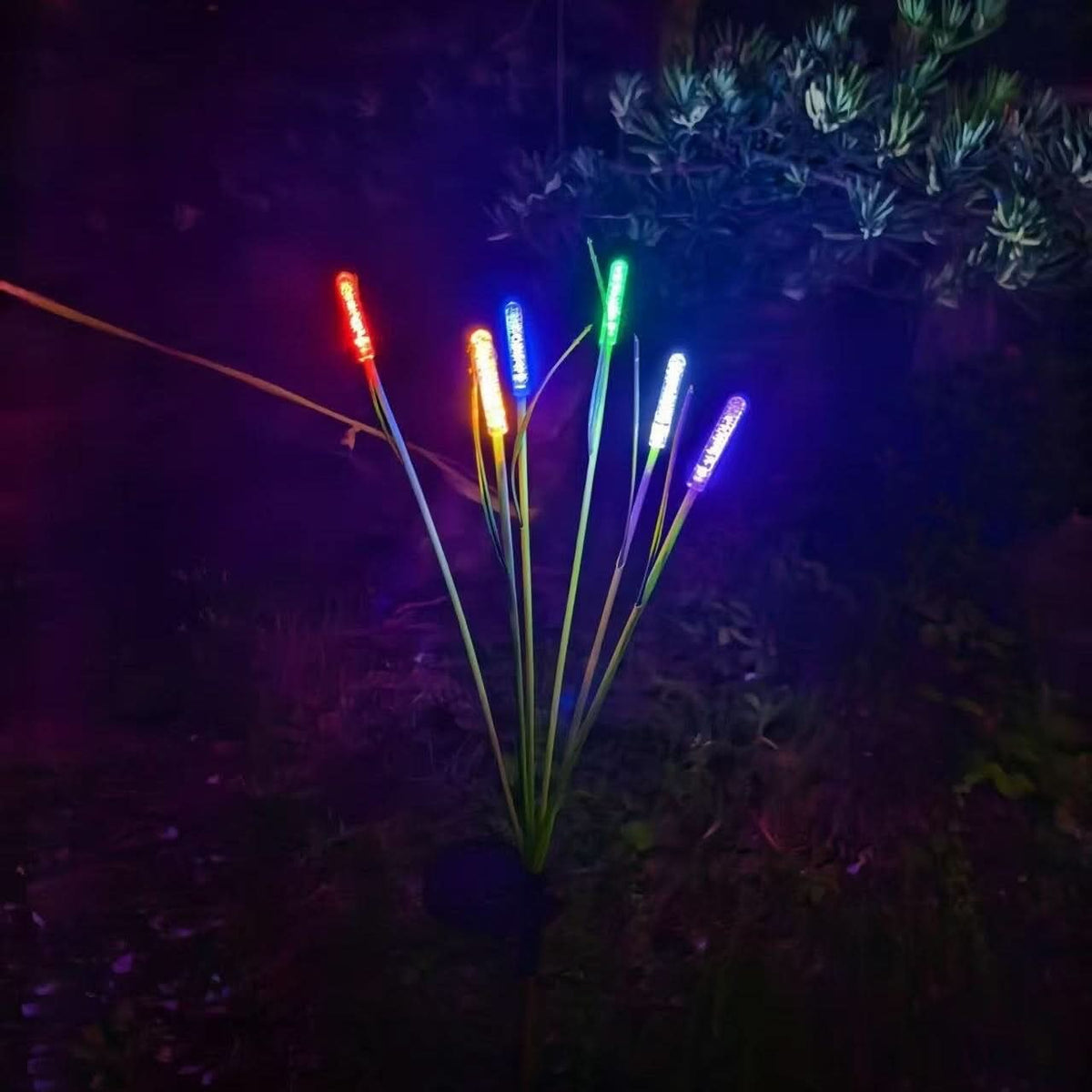 REEDLIVA – Lampes solaires roseaux pour décoration paysagère extérieure