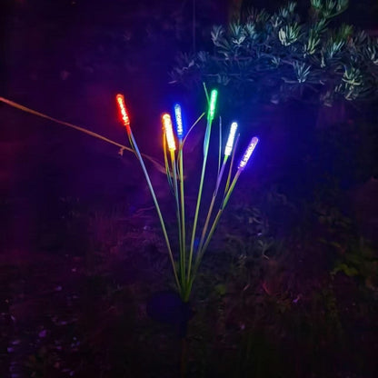 REEDLIVA – Lampes solaires roseaux pour décoration paysagère extérieure