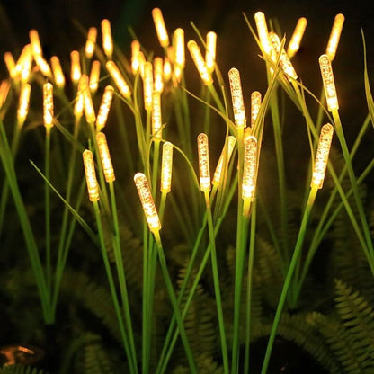 REEDLIVA – Lampes solaires roseaux pour décoration paysagère extérieure