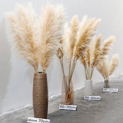 Tiges d'herbe de la pampa naturelle et duveteuse pour vases | Accents floraux séchés de 40 à 76 cm pour décoration d'étagère de salon, centres de table d'événements, style bohème