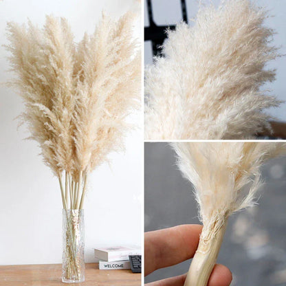 Tiges d'herbe de la pampa naturelle et duveteuse pour vases | Accents floraux séchés de 40 à 76 cm pour décoration d'étagère de salon, centres de table d'événements, style bohème