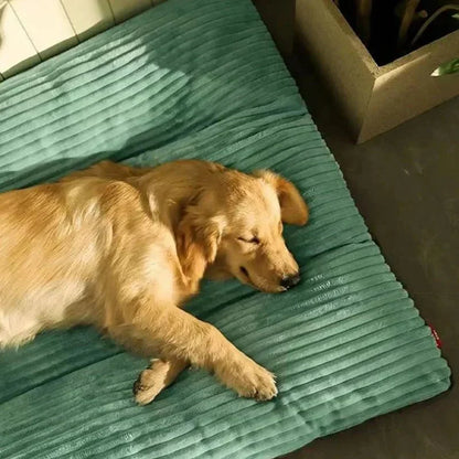 Coussin de soutien en mousse à mémoire de forme pour chiens et chiots - Tapis de couchage intérieur en peluche avec soutien orthopédique - Literie douce et lavable pour chiens âgés