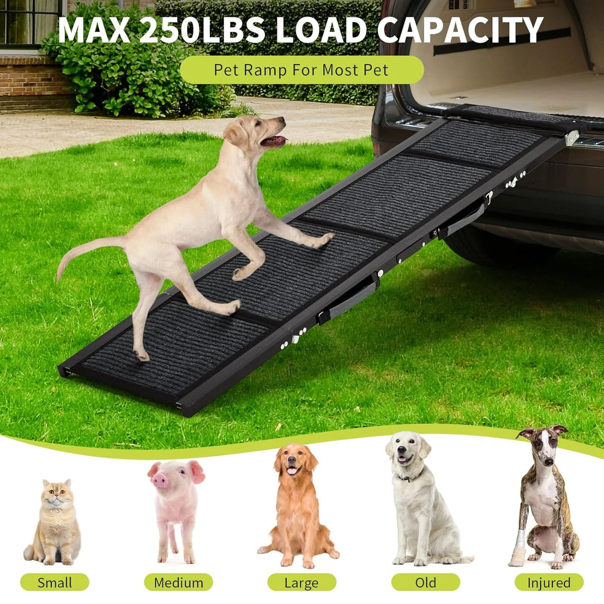 Collection de rampes pour animaux | Rampe pliante pour chien pour lit et voiture avec surface antidérapante | Conception légère pour un accès sécurisé